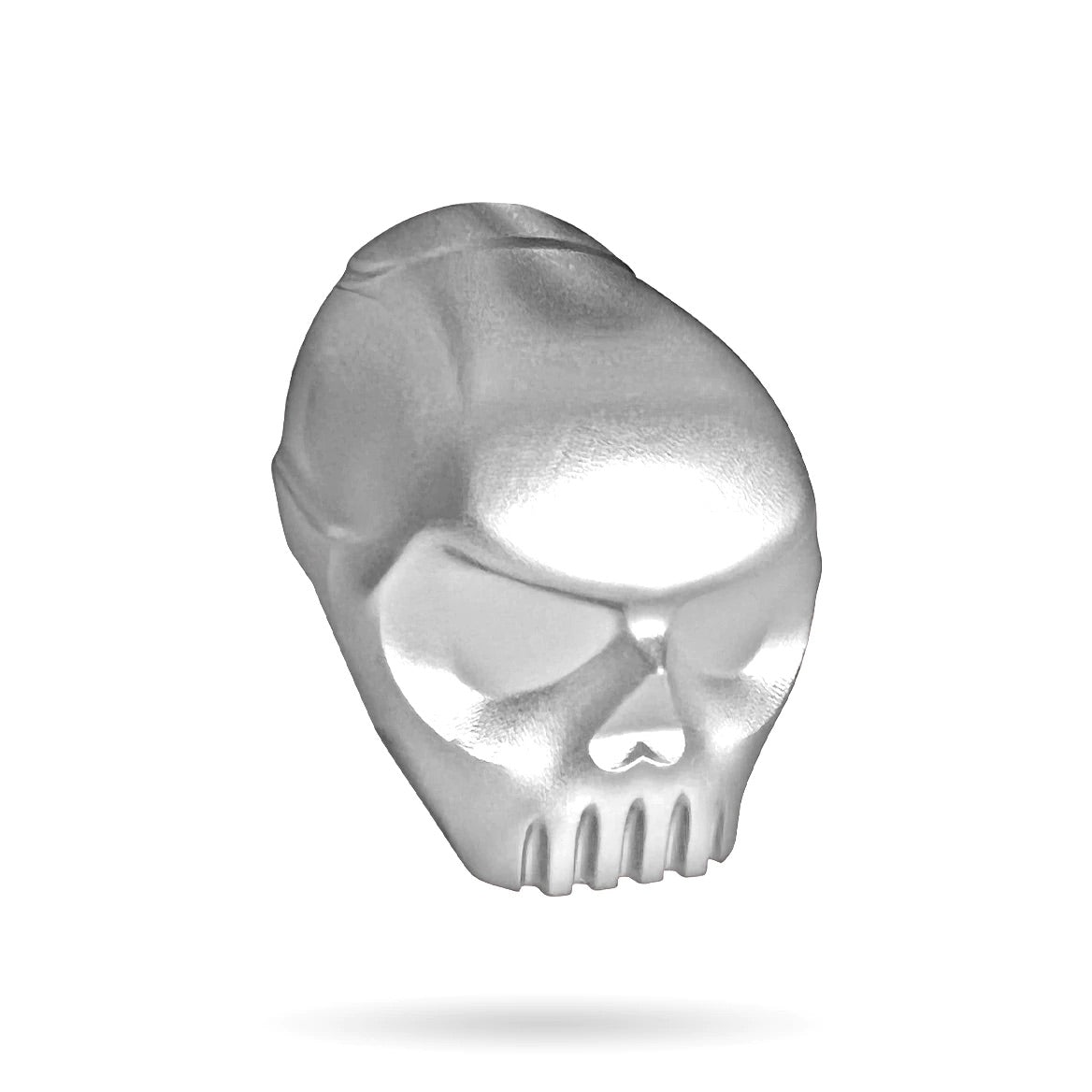 Infamous 170r Skull Back Cap - Silver